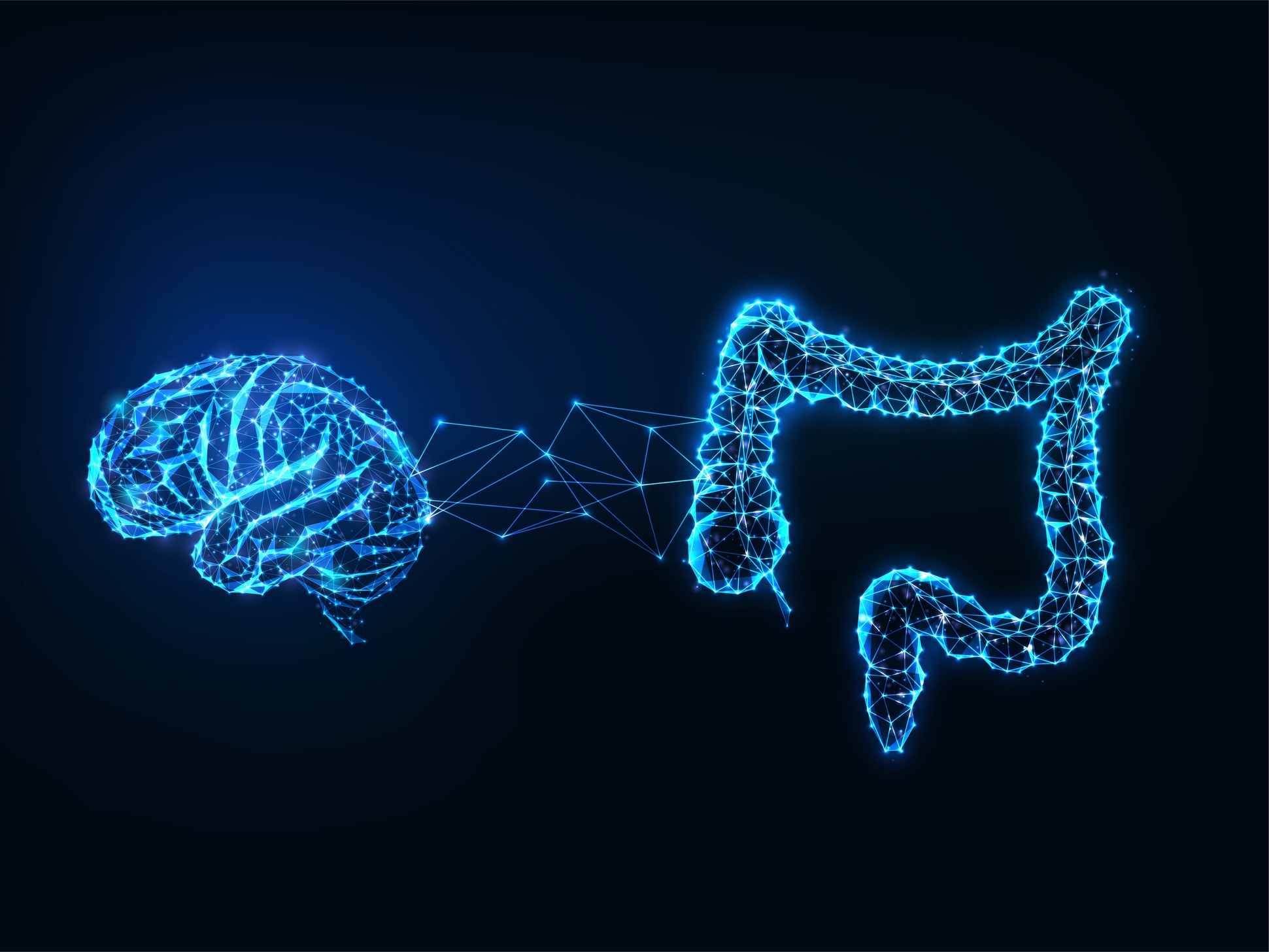 caption: Scientists have identified two types of brain cells in the abdomen that appear to control different aspects of digestion.