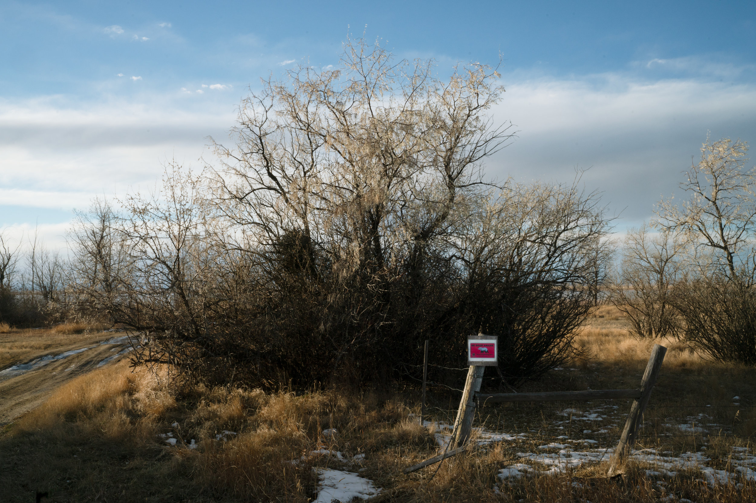 caption: A bear warning sign on the banks of Lake Frances in Valier, Mont. Sarmento captured and tagged and released a female grizzly on Lake Frances last year, after residents voiced concerns. The grizzly did not cause any conflicts.