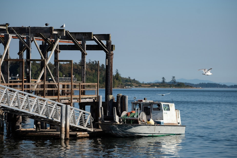 caption: The fishing dock on the Lummi reservation. The Lummi refer to the salmon as their relatives.