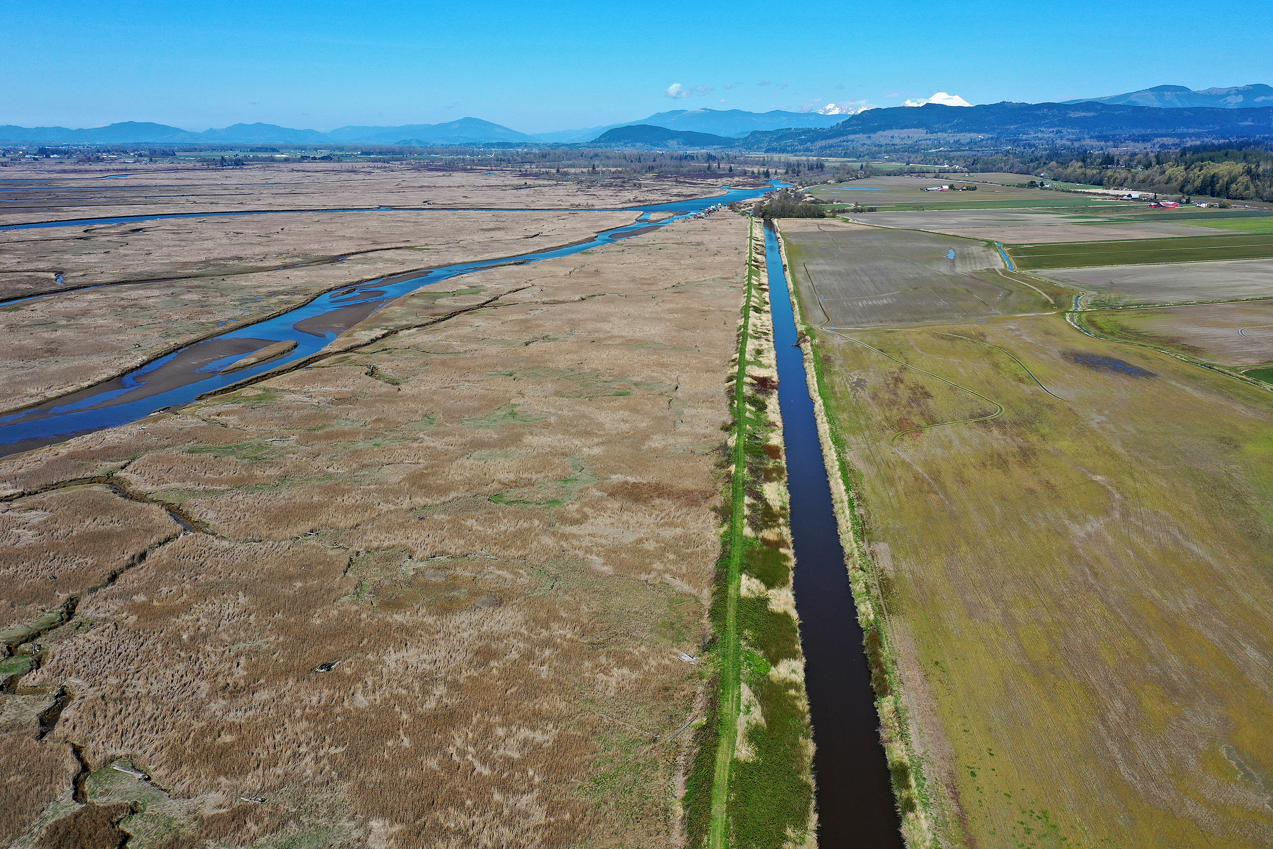 caption: An aerial view of the Tom Moore Slough levee, next to Big Ditch, is shown on Wednesday, April 8, 2026, near Stanwood, Washington.