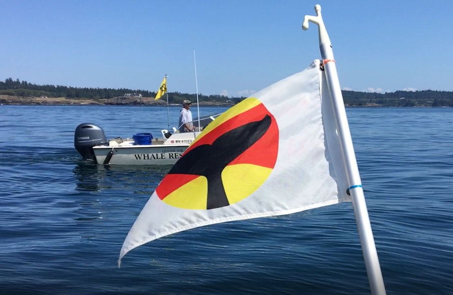 caption: A whale-warning flag, designed to warn boaters that orcas are nearby, flies off the stern of University of Washington whale researcher Deborah Giles' boat off San Juan Island in August 2019