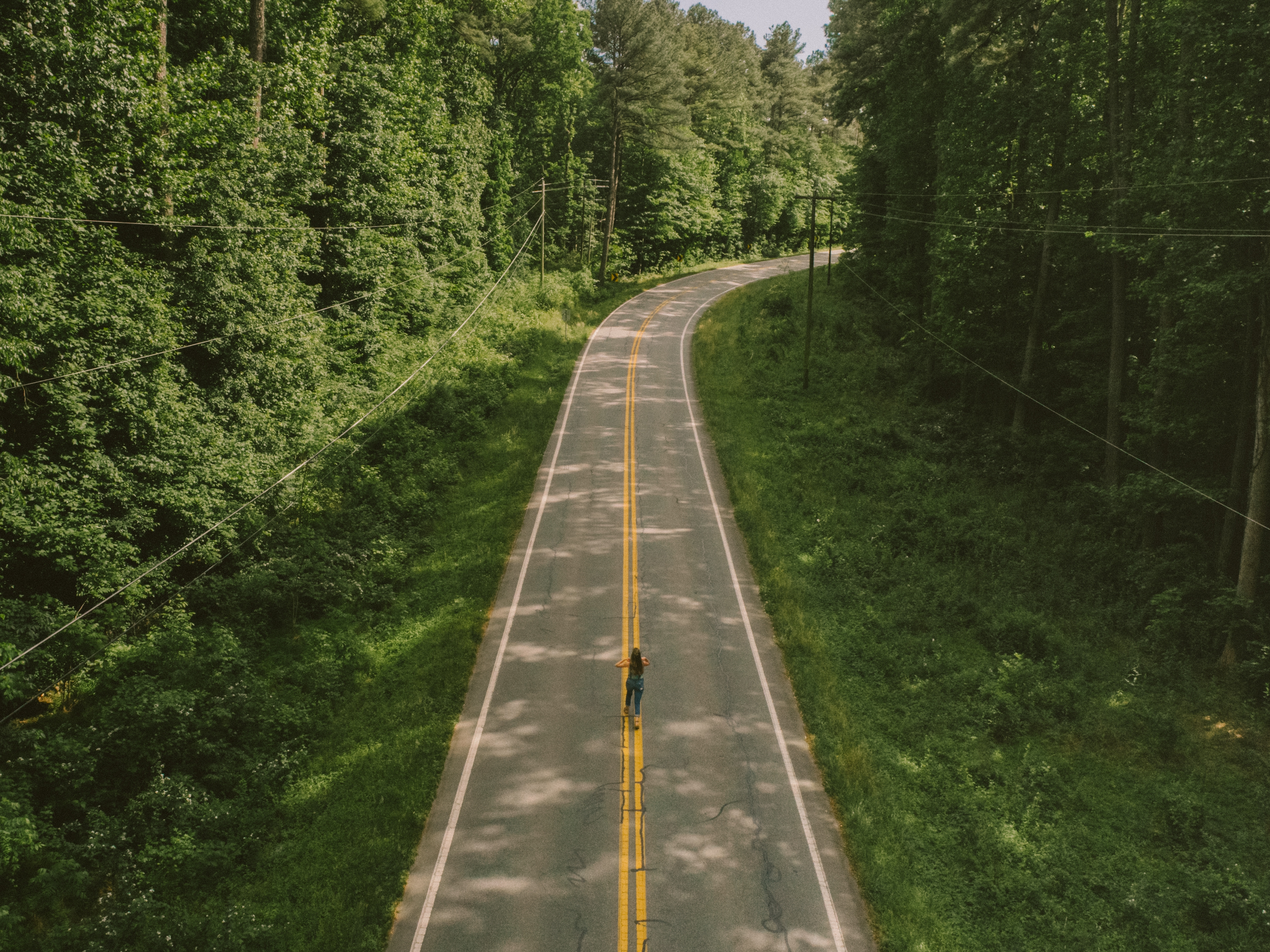 caption: An aerial view of a road winding through a dense forest in the spring.