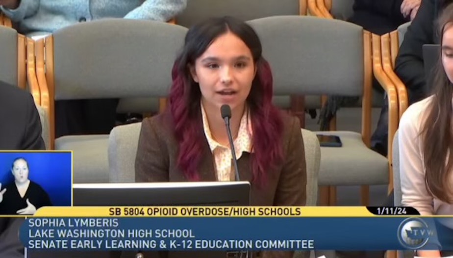caption: Lake Washington High School senior Sophia Lymberis testifies on behalf on a bill to put Narcan in all Washington K-12 public schools, charter schools, and state-tribal education compact schools. 