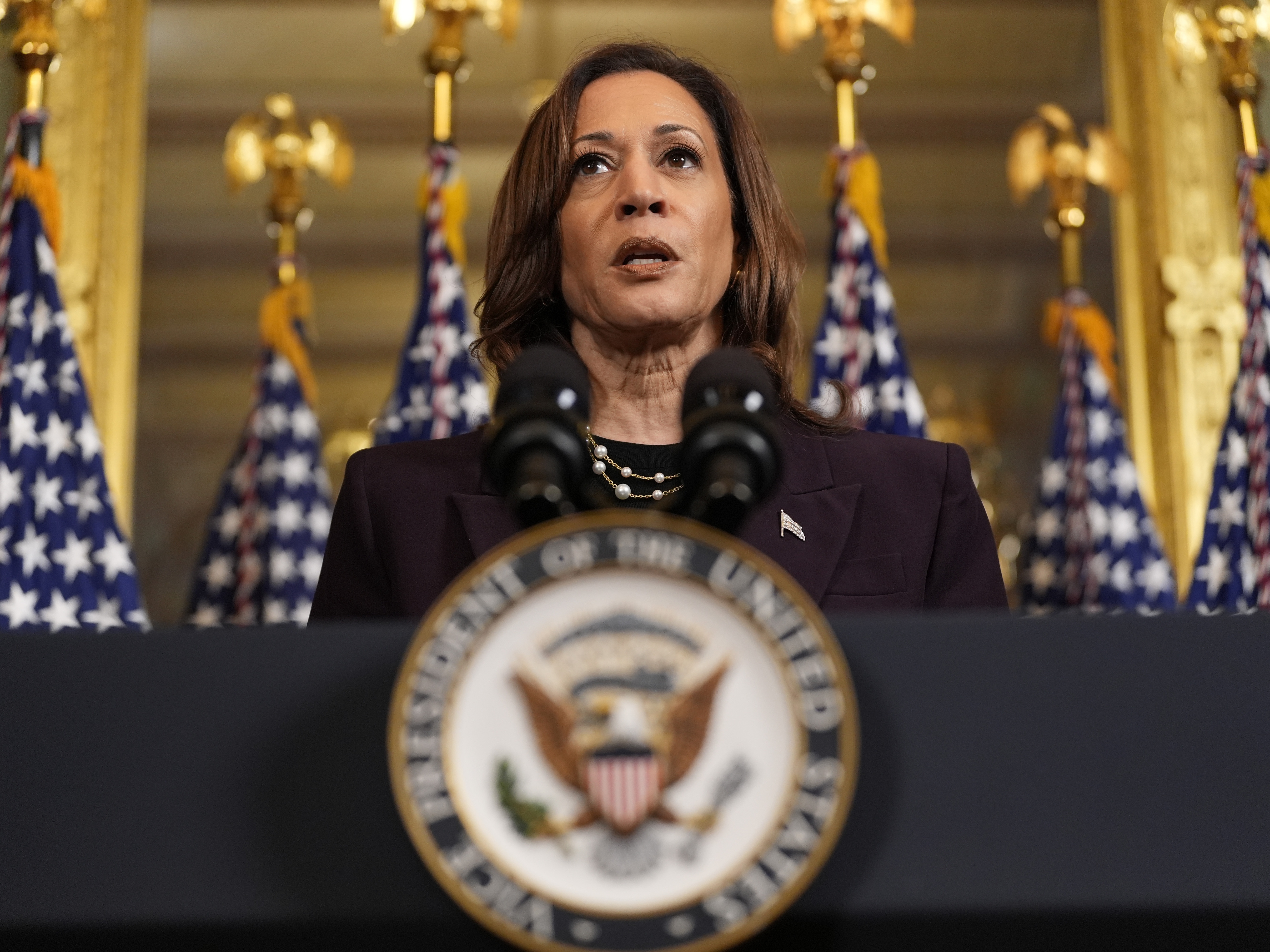 caption: Vice President Harris speaks following a meeting with Israeli Prime Minister Benjamin Netanyahu at the Eisenhower Executive Office Building on the White House complex in Washington on Thursday.