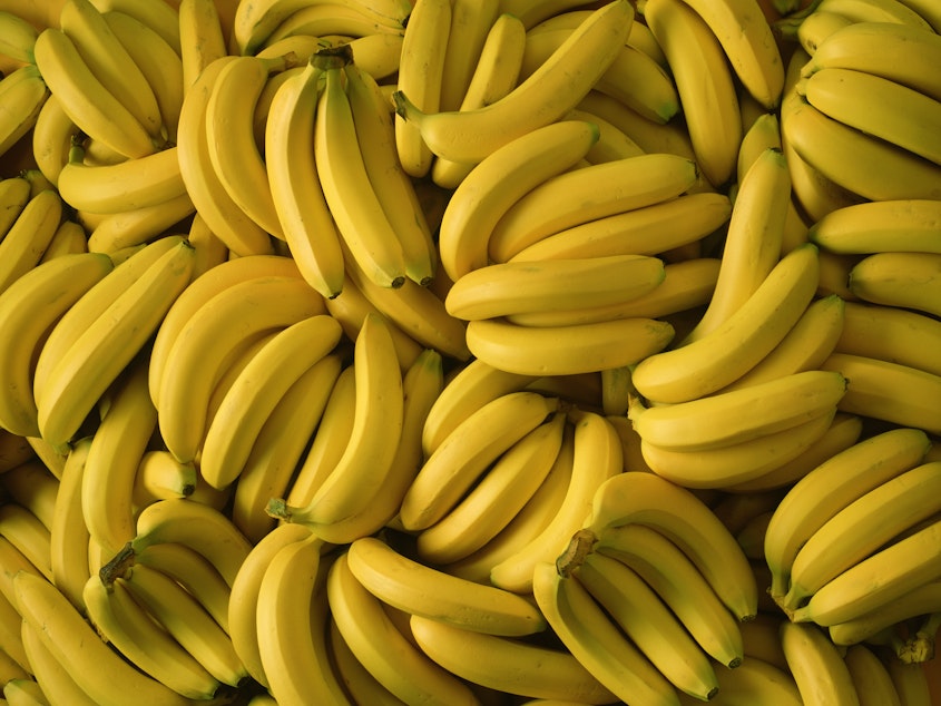 caption: The Texas Department of Criminal Justice says it found packages of cocaine with a street value of nearly $18 million inside a shipment of bananas.