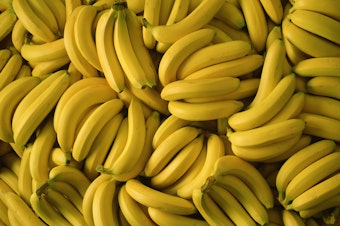 caption: The Texas Department of Criminal Justice says it found packages of cocaine with a street value of nearly $18 million inside a shipment of bananas.