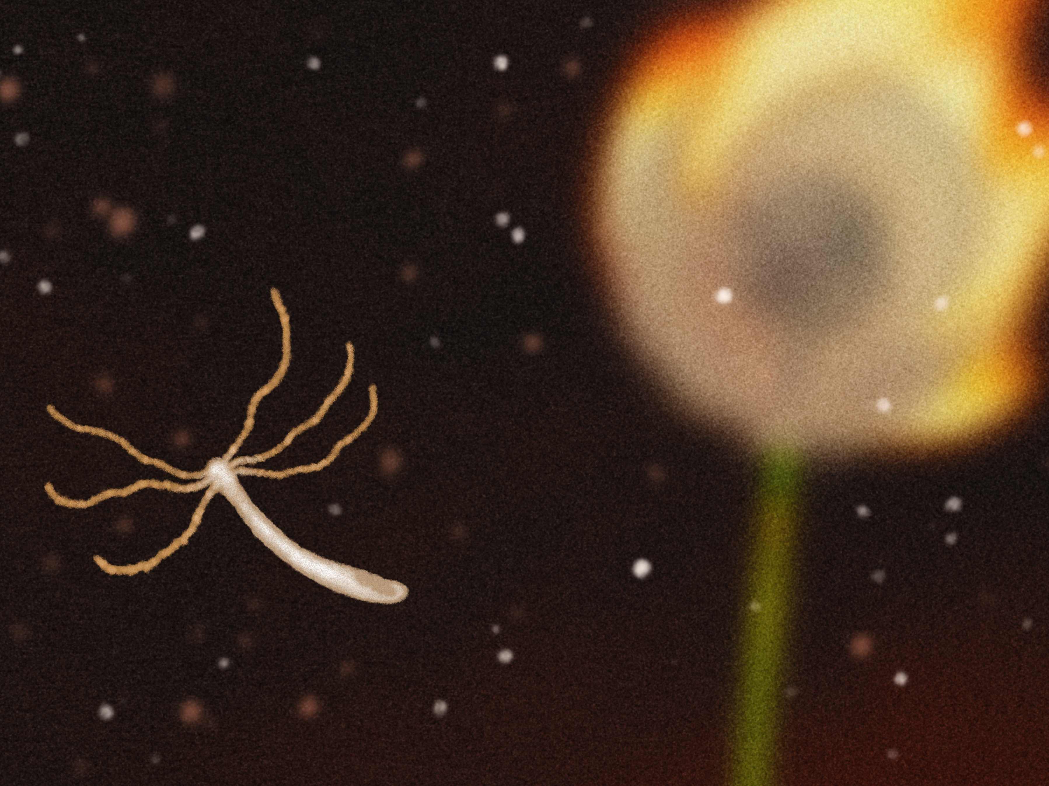 caption: Artwork by <a href="http://www.leonardosantamaria.com/" target="_blank">Leonardo Santamaria</a>.