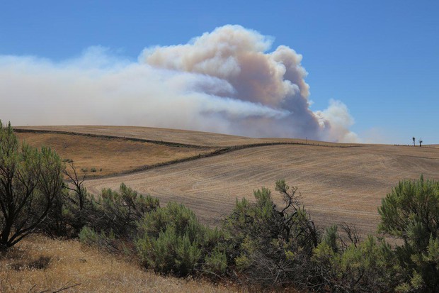 caption: <p>Smoke from the Substation Fire rises over the hills near Moro, Oregon, Wednesday, July 18, 2018.</p>