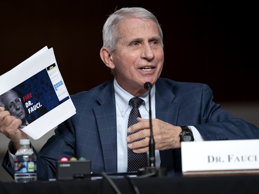 caption: Dr. Anthony Fauci, director of the National Institute of Allergy and Infectious Diseases and chief medical adviser to the president, holds up printouts from Sen. Rand Paul's reelection campaign website.