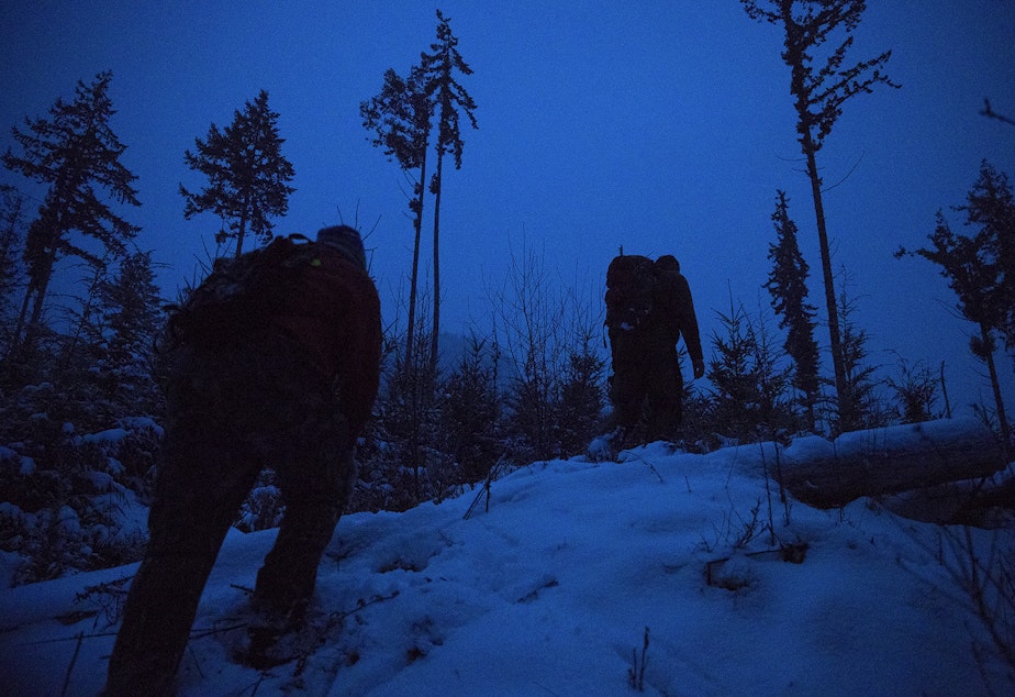 caption: Houndsman Greg Jones, left, and Chris Morgan, host of The Wild, right, hike after an attempted cougar capture mission of Bramble, a 3-year-old female cougar, on Tuesday, January 14, 2020, on the Olympic Peninsula.
