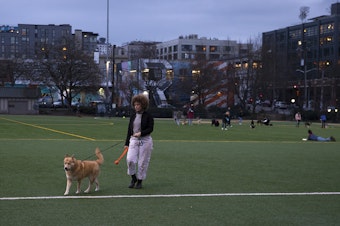 caption: Biggest Carbon Loser contestant Meredith Cooper walks her husky mix Sun Ra at Cal Anderson Park in Seattle.