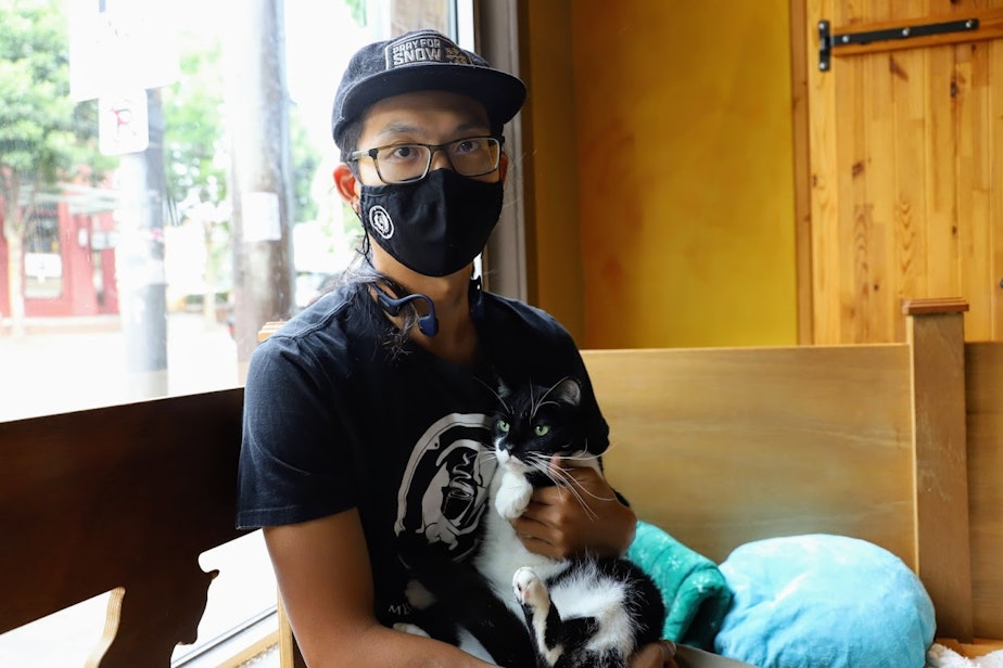 caption: Seattle Meotropolitan Cafe co-founder Andrew Hsieh, cradling Robin, one of the nine resident cats at the Wallingford cat lounge.