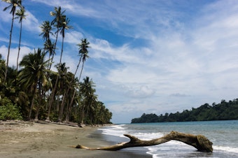 caption: A deserted beach in Gorgona National Park, an island 21 miles off Colombia's Pacific coast.