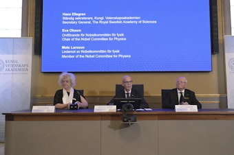caption: A panel of the Royal Academy of Sciences, in Stockholm, announces the winner of the 2023 Nobel Prize in Physics on Tuesday.