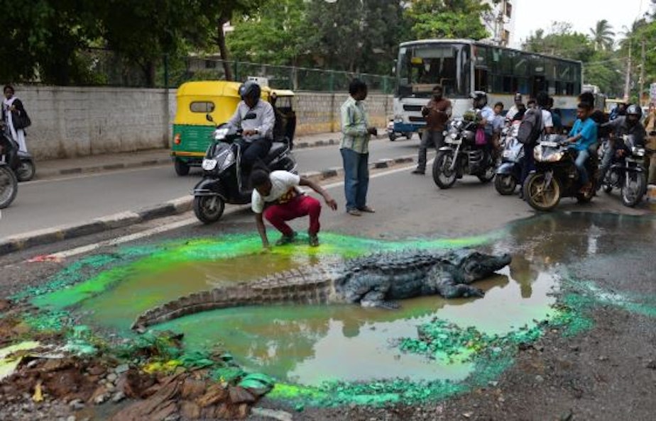 caption: Artist Baadal Nanjundaswamy in Bangalore India makes art out of potholes to bring attention to the terrible condition of the roads.