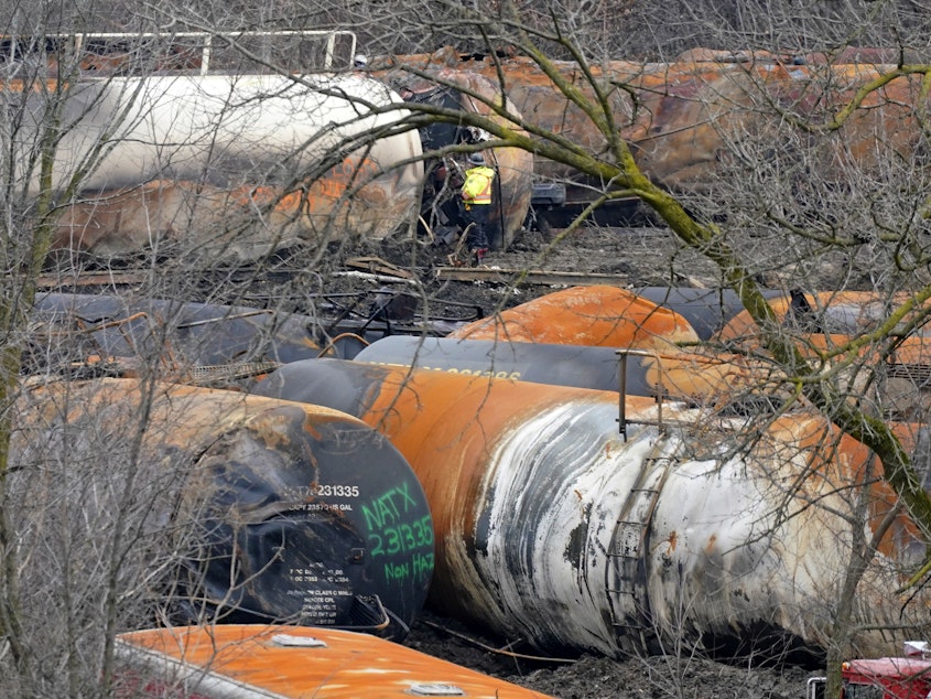 caption: In this Feb. 9, 2023, photo, cleanup efforts were continuing after the derailment of a Norfolk Southern freight train in East Palestine, Ohio.