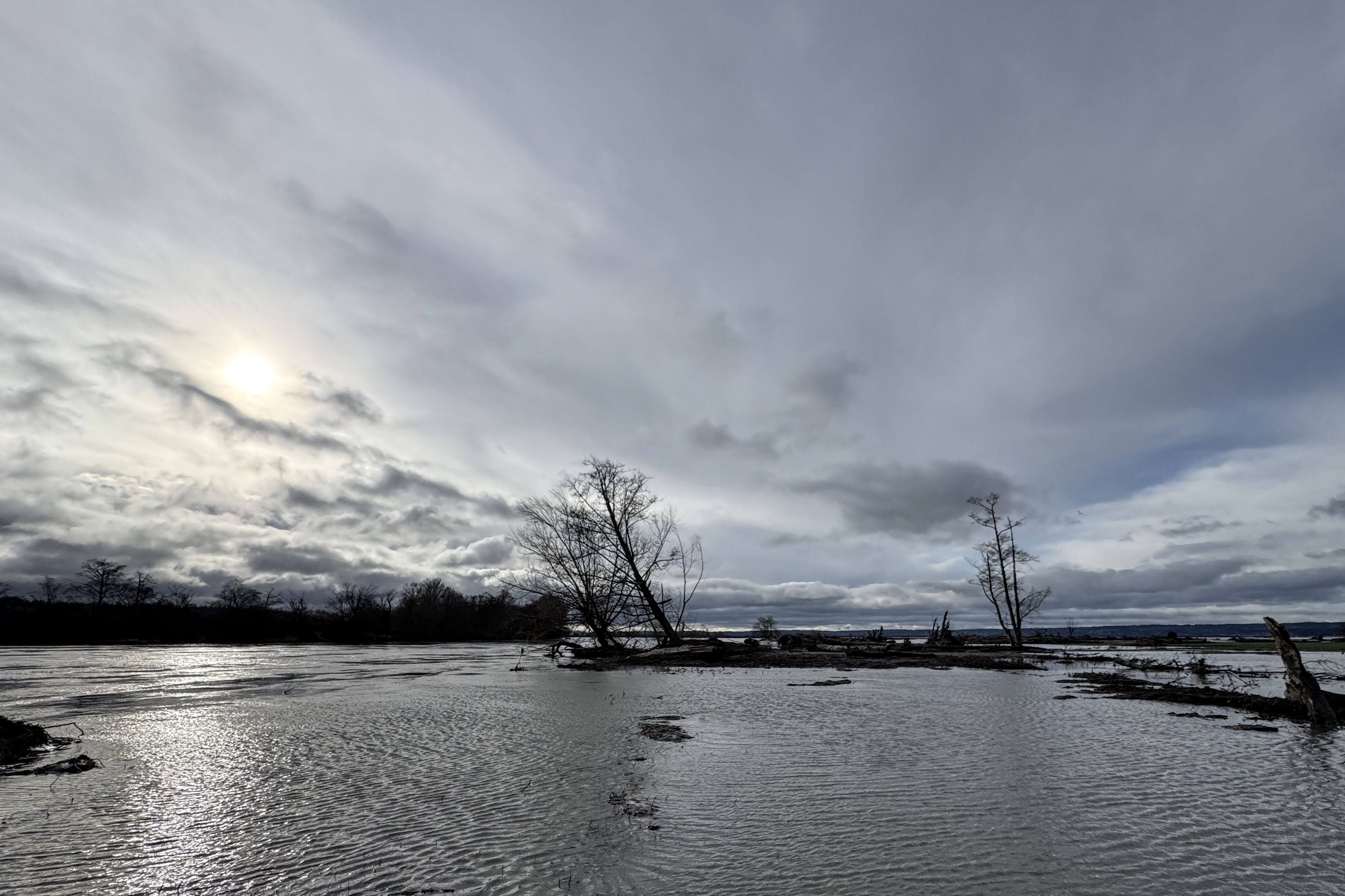 caption: The Stillaguamish River enters Puget Sound, near Stanwood, Washington, on Dec. 19, 2025.