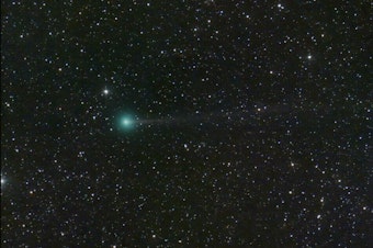 caption: Meet the comet Nishimura.