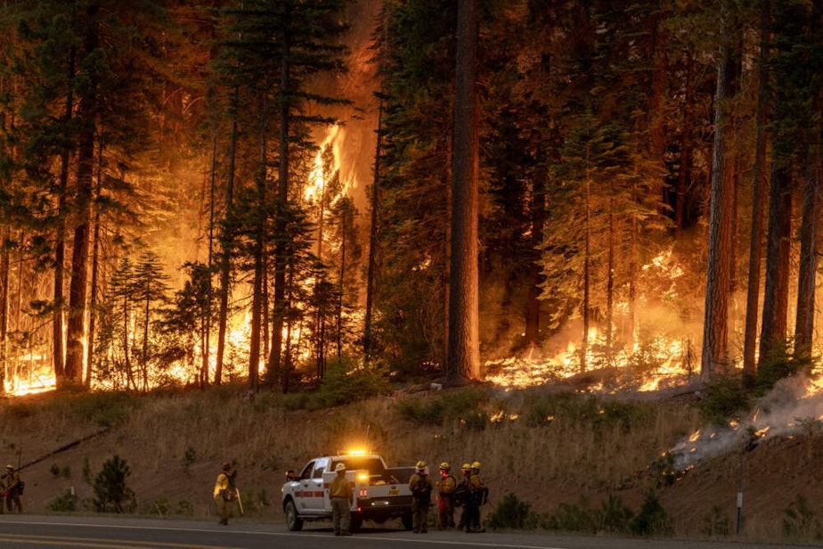 caption: Flames quickly grow as firefighters set a backfire on the eastern front of the Park Fire, which has grown to 360,141 acres and is 12 percent contained, on July 28, 2024 near Chico, California. (David McNew/Getty Images)