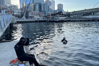 caption: Jason Toft prepares to enter the water off downtown Seattle to survey juvenile salmon.