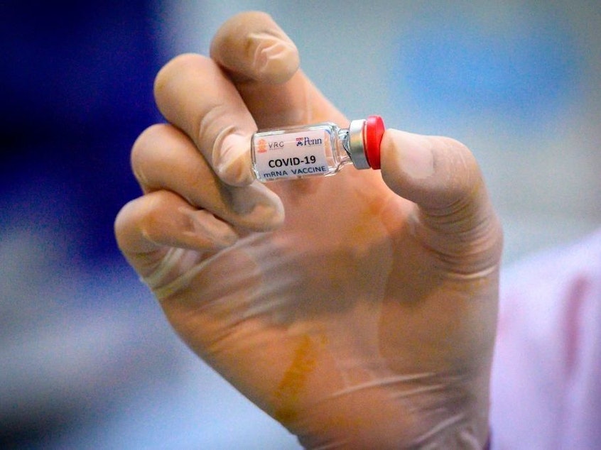 caption: A laboratory technician holds a dose of a COVID-19 vaccine candidate ready for a trial in May 2020.