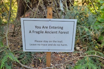 caption: "You are entering a fragile, ancient forest. Please stay on the trail. Leave no trace, and do no harm."
