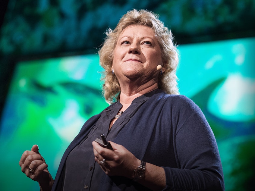 caption: Denise Herzing, dolphin researcher, at TED2013.