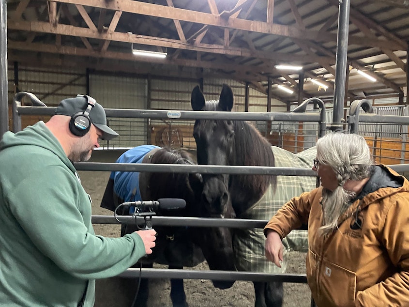 caption: Soundside Producer Jason Burrows collects sound from Betty and Eleven, two horses at the SAFE horse rescue facility in Redmond as SAFE Executive Director Bonnie Hammond, right, observes.