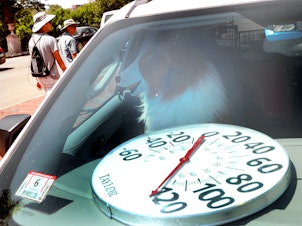 caption: The Animal Rescue League offered this demonstration last year in Boston, with a stuffed dog, on how hot the inside of a car can get.