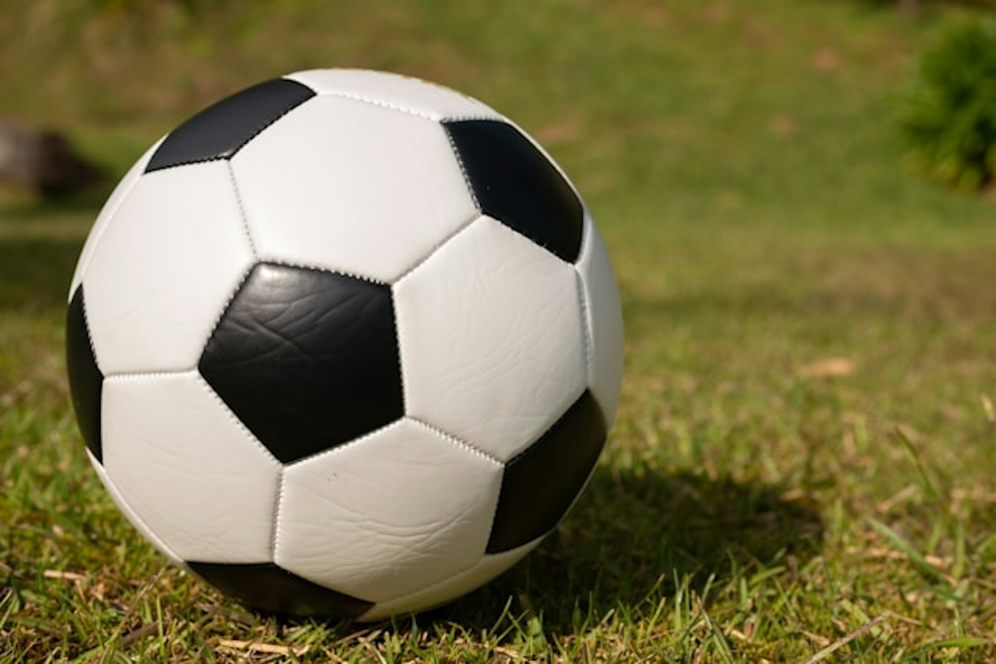 The World Cup spotlights PNW Indigenous cultures episode artwork
