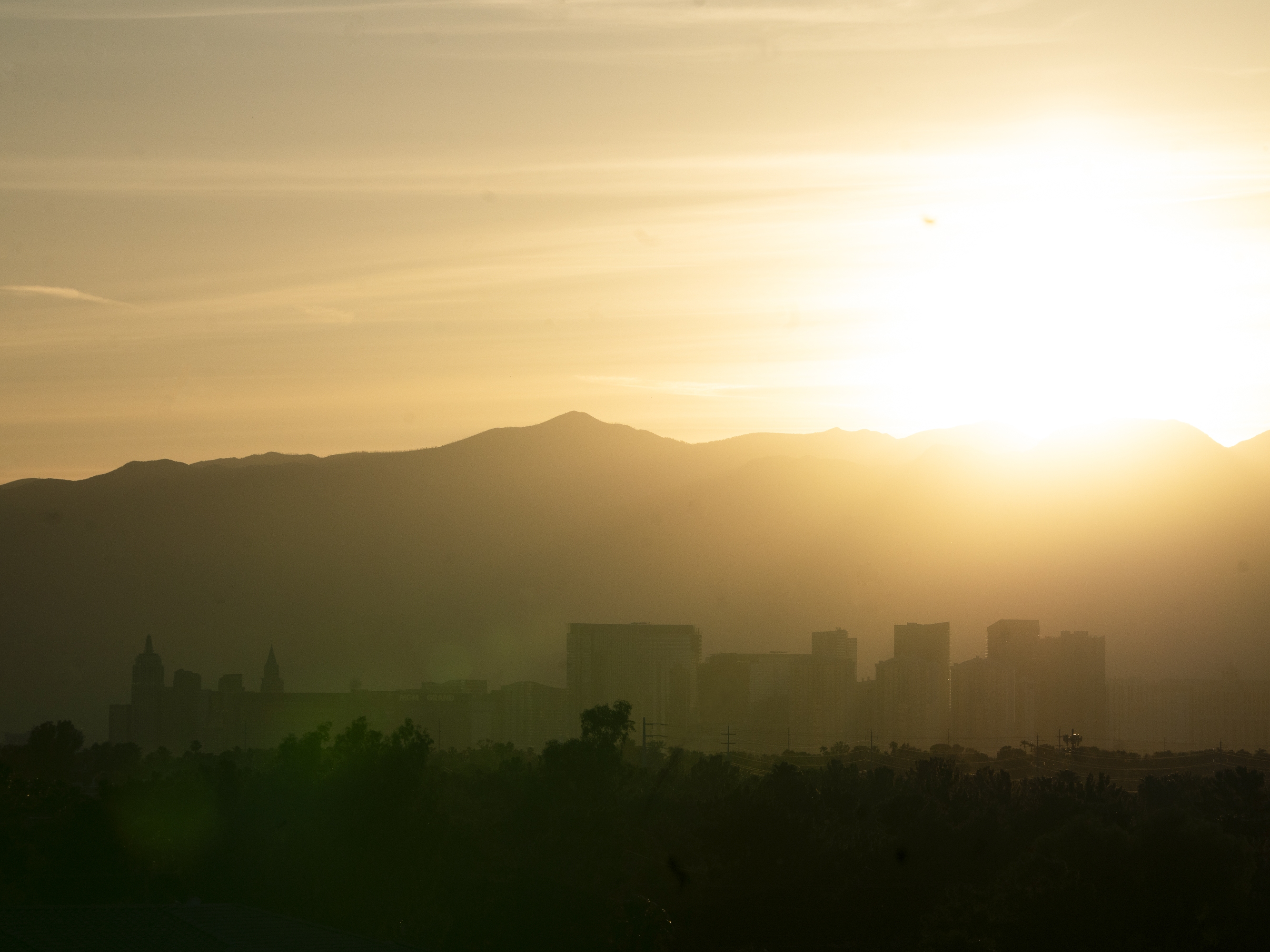 caption: Last year, the city of Las Vegas reached a record 120 degrees during the peak of summer. The Clark County Coroner's Office found that heat was a factor in more than 500 deaths. Now, city, county and local advocates are planting thousands of trees to help bring down temperatures in the hottest neighborhoods. Trees can have a significant impact on mitigating heat.