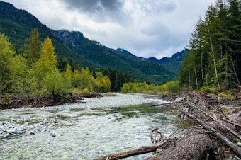 caption: Forest and river views taken at the Snoqualmie Tribe Ancestral Forest.