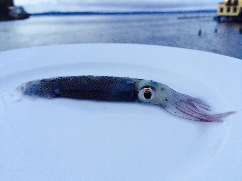 caption: KUOW's David Hyde caught this little beauty while jigging in Puget Sound. 
