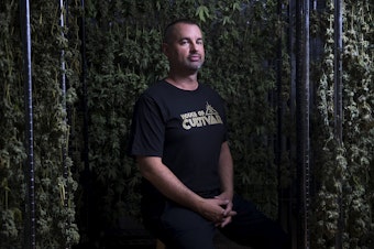 caption: Jason Hutto, Founder and CEO of House of Cultivar, poses for a portrait on Wednesday, July 18, 2018, at House of Cultivar in Seattle. Tap or click on the first image to see more.