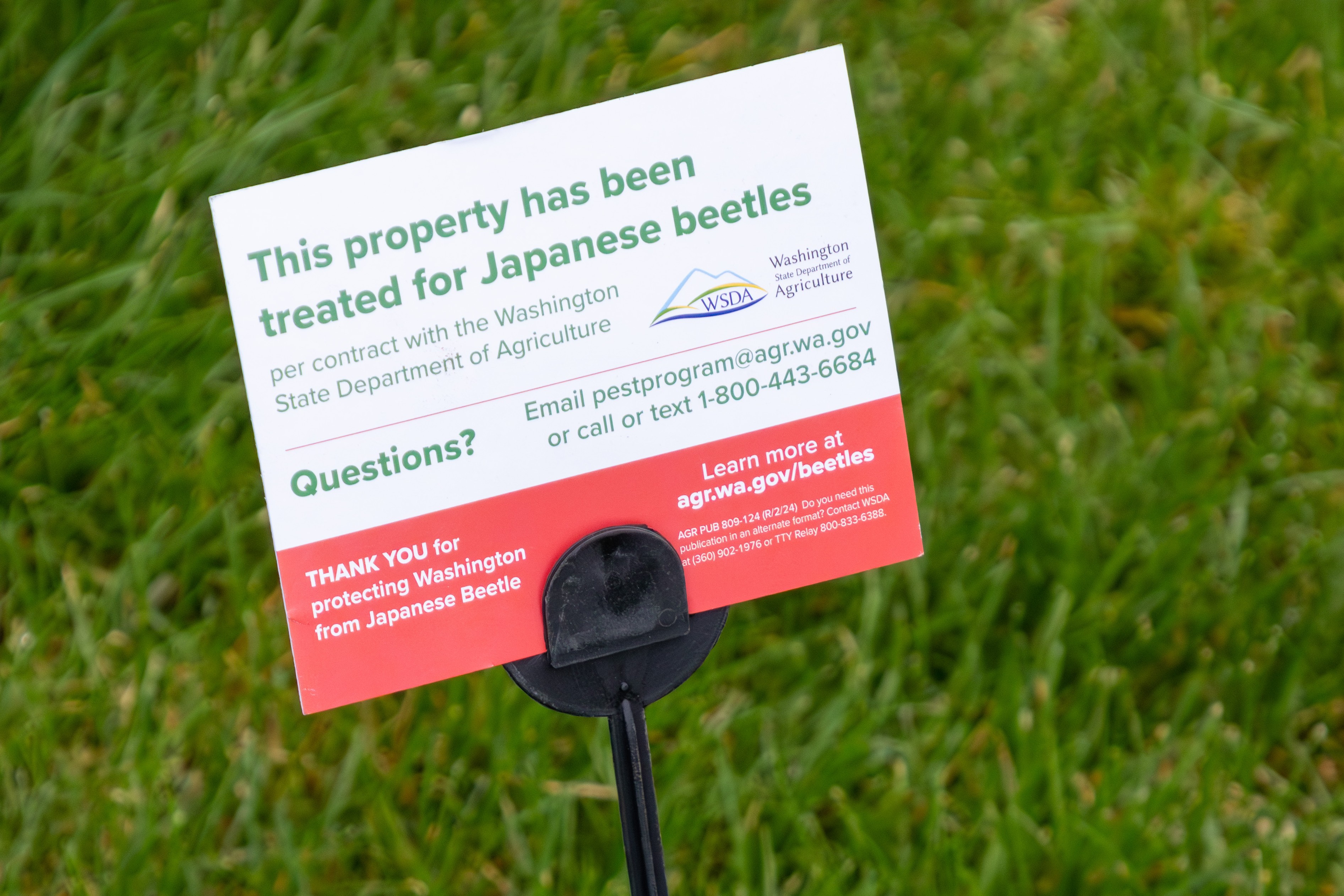 caption: A Washington State Department of Agriculture sign alerts passersby that a lawn in Grandview, Washington, has been sprayed with the pesticide Acelepryn on April 12, 2024.