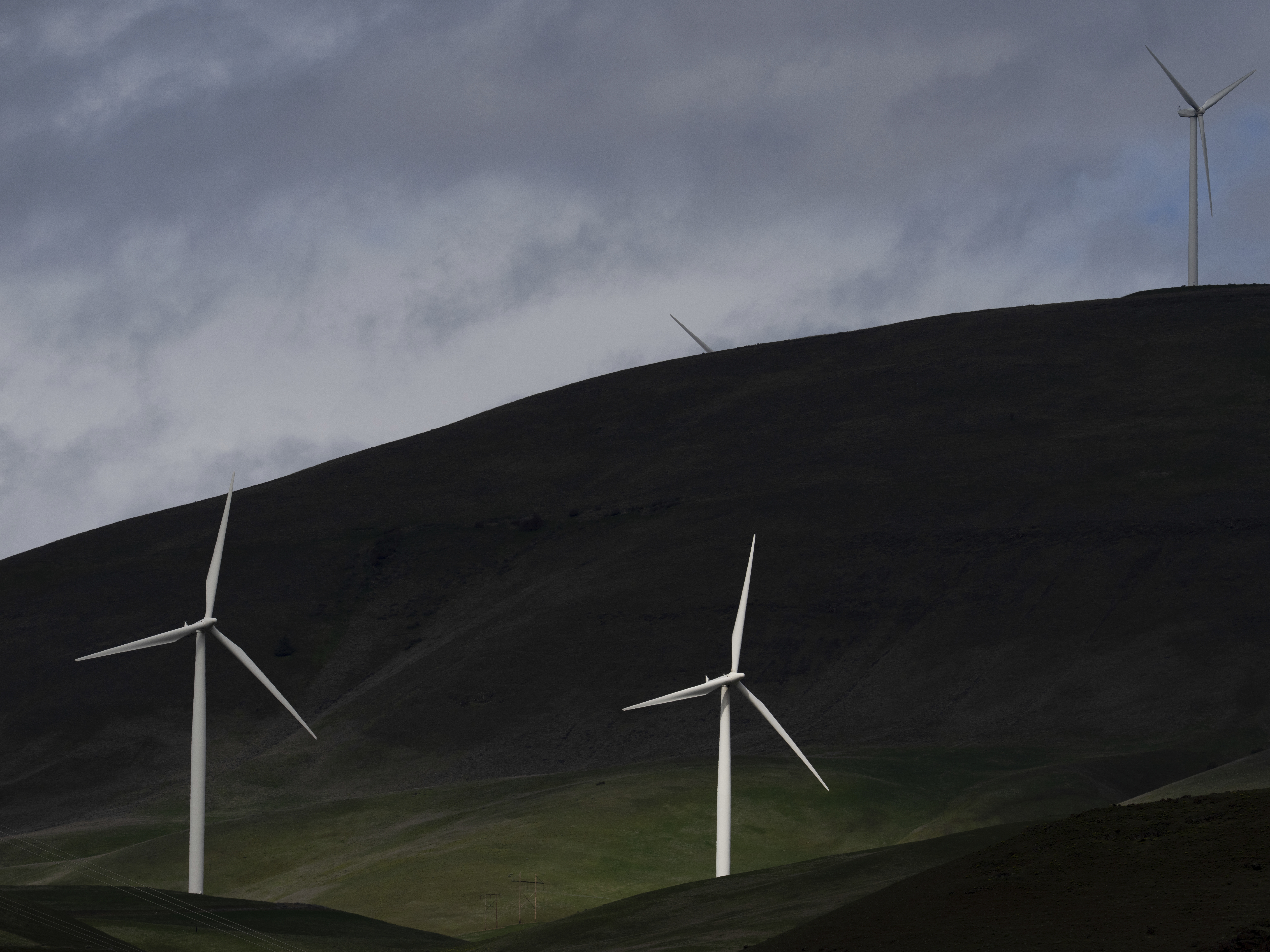 caption: Wind turbines in Goldendale, Wa. Employees at the Energy Department office that funds clean energy technology were told to avoid using terms including "climate change" and "green," according to an email obtained by NPR.