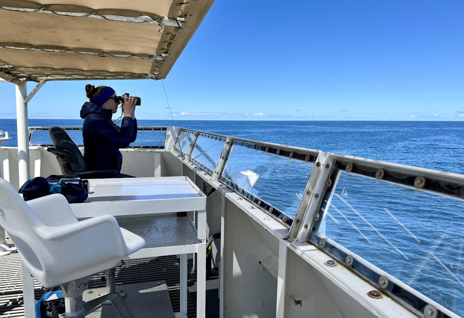 caption:  On top of the Bell M. Shimada's flybridge, scientist Dawn Barlow searches for any signs of whales.