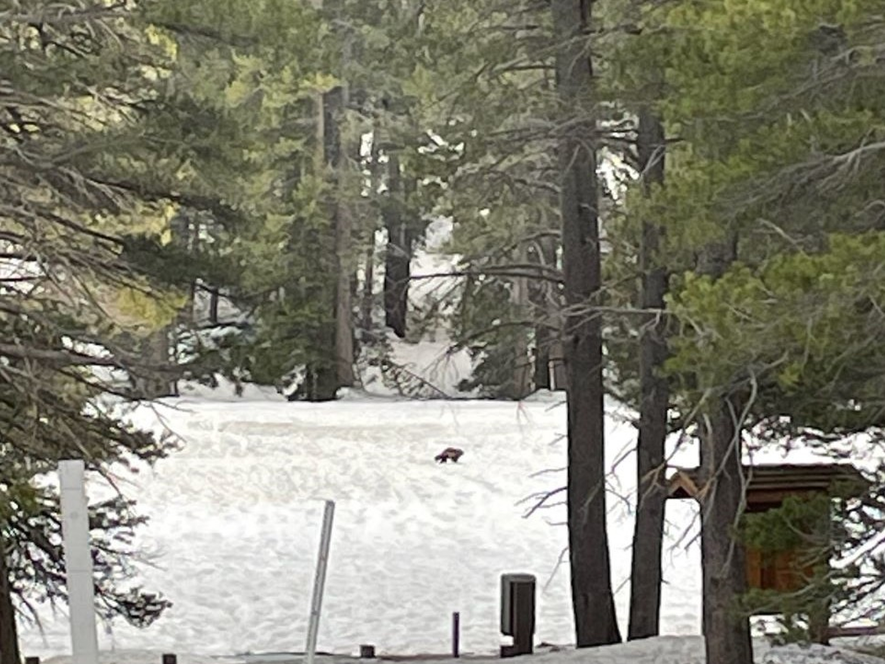 caption: Hey, you! You over there!