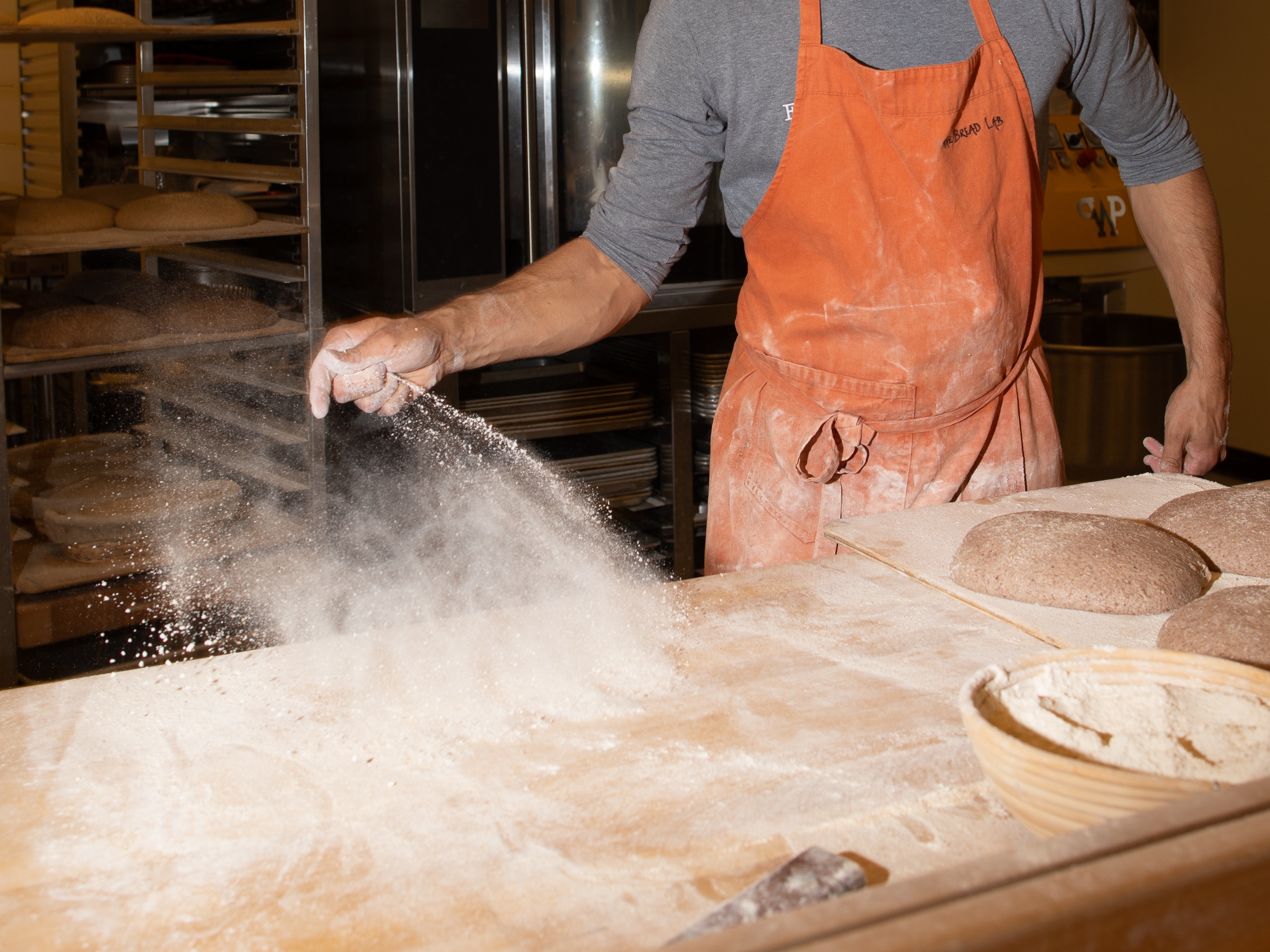 caption: Robin Morgan of Washington State University's Bread Lab works to prepare fresh loaves of whole wheat bread. Morgan is part of a team of scientists and researchers searching for ways to make whole wheat bread resilient to a warming world — and more delicious.