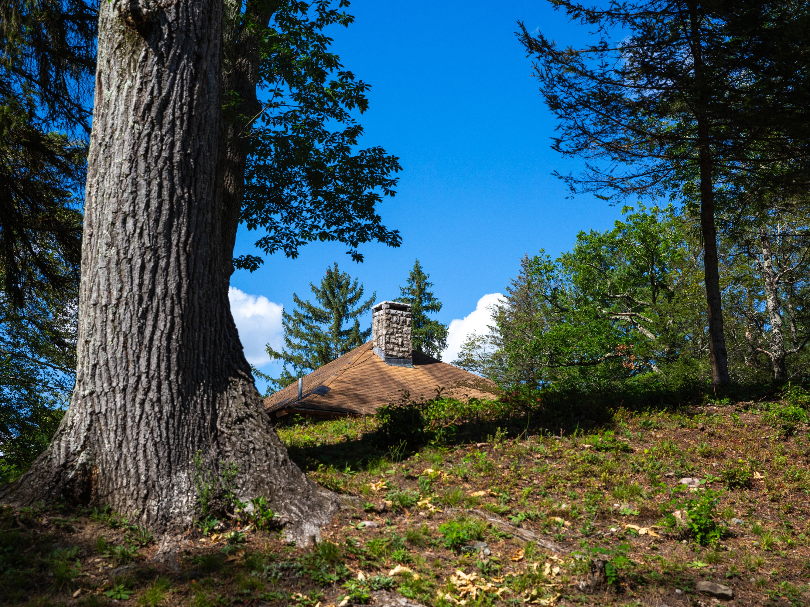 caption: An iconic Carpathian-style roof and stone chimney peek out of the woods in the heart of Soyuzivka’s campus.