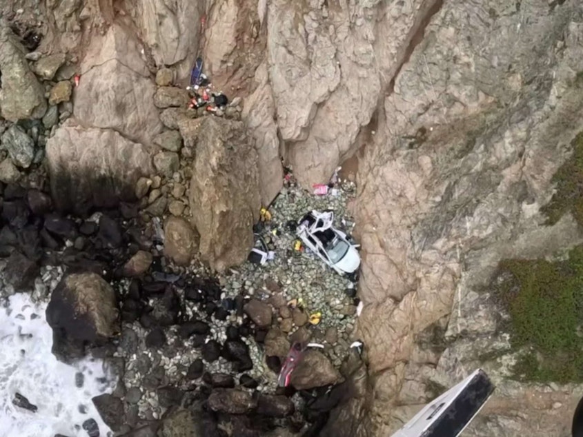 caption: A Tesla with four people inside crashed on the rocks over the cliffside off California's Highway 1 south of San Francisco on Monday. The driver has been arrested with intentionally driving the car off the cliff in an attempt to kill his family.