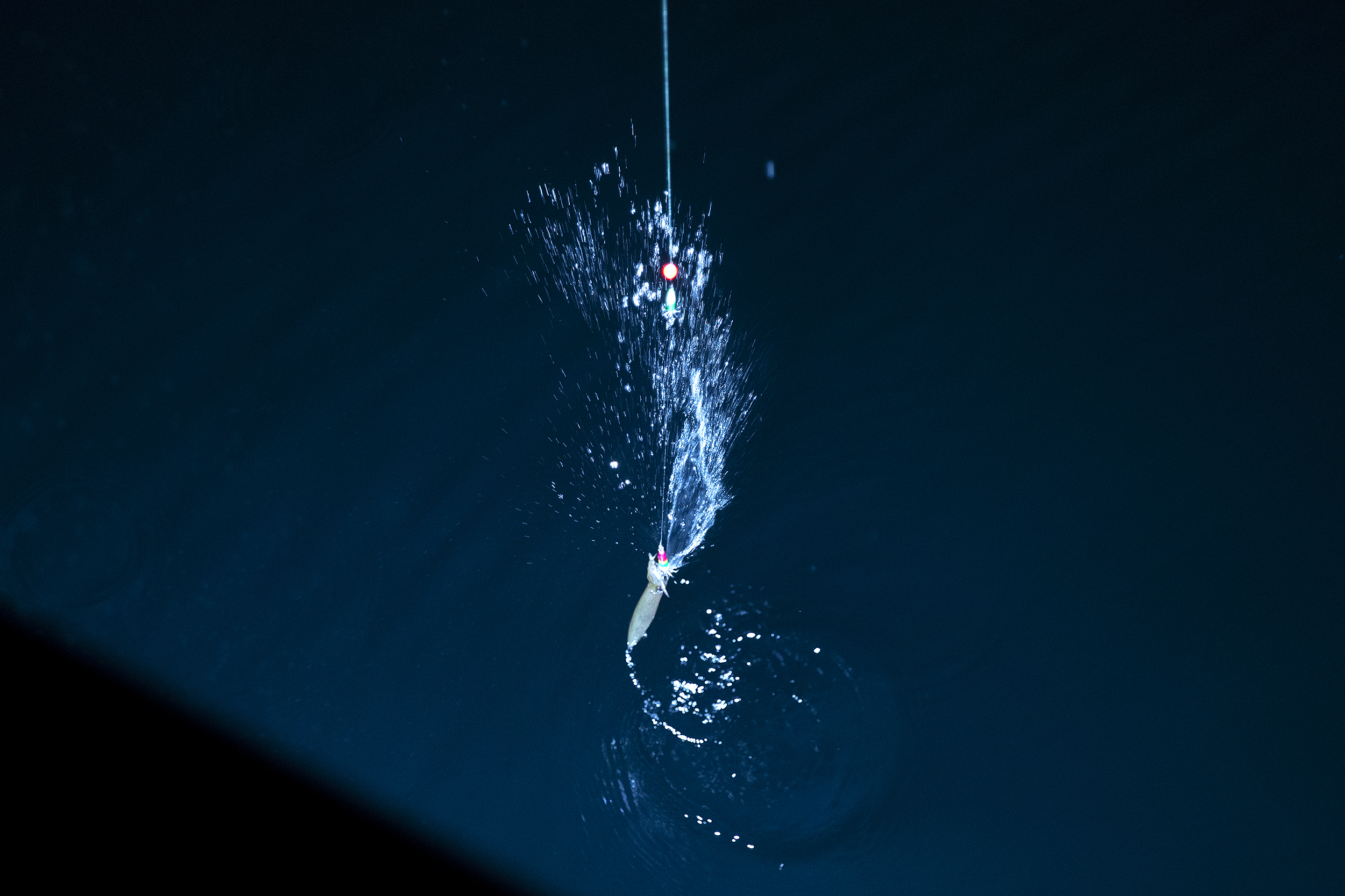 KUOW - Photos: Squidding From Tacoma's Les Davis Pier