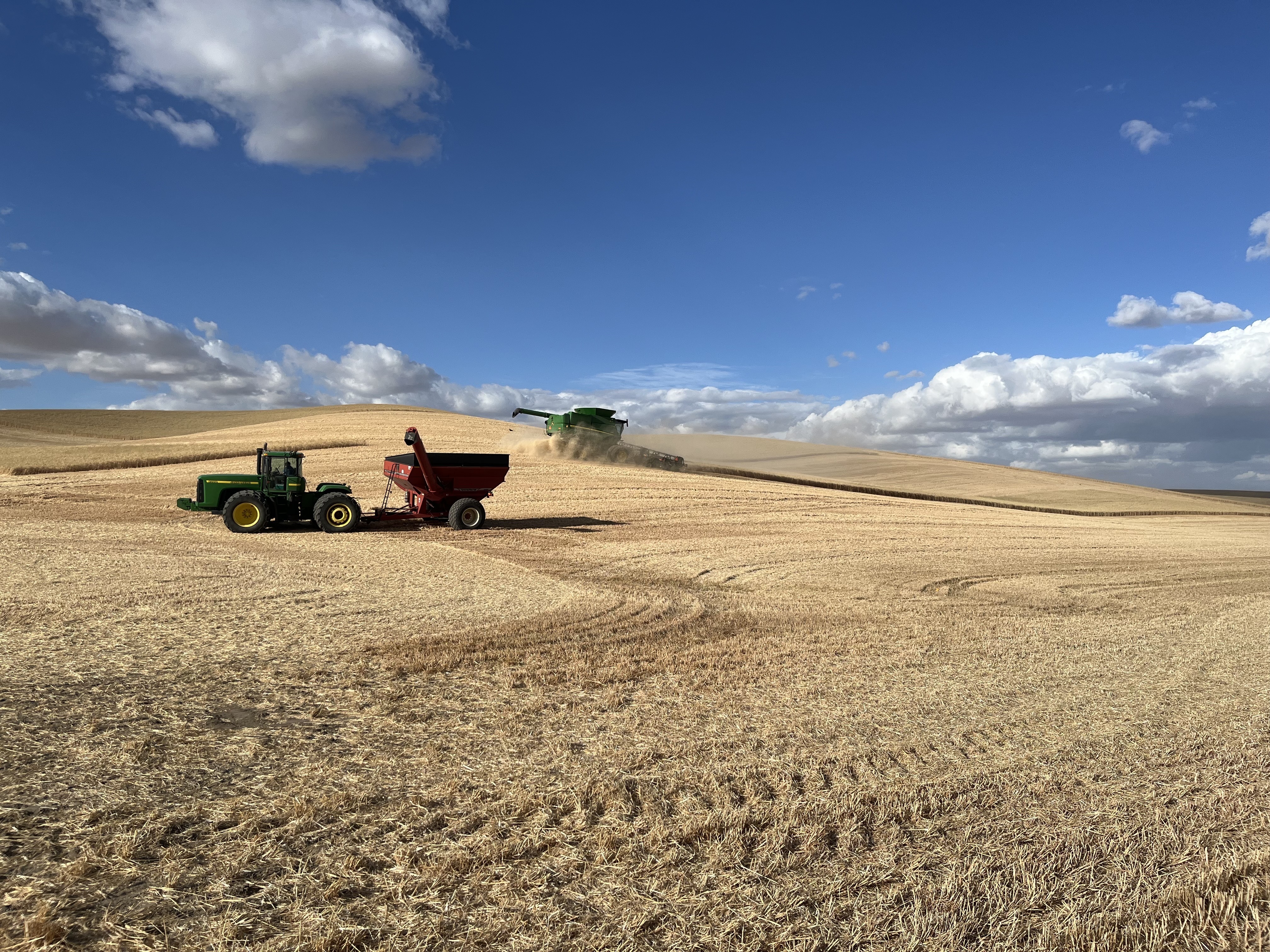 caption: Wheat being harvested in eastern Washington state