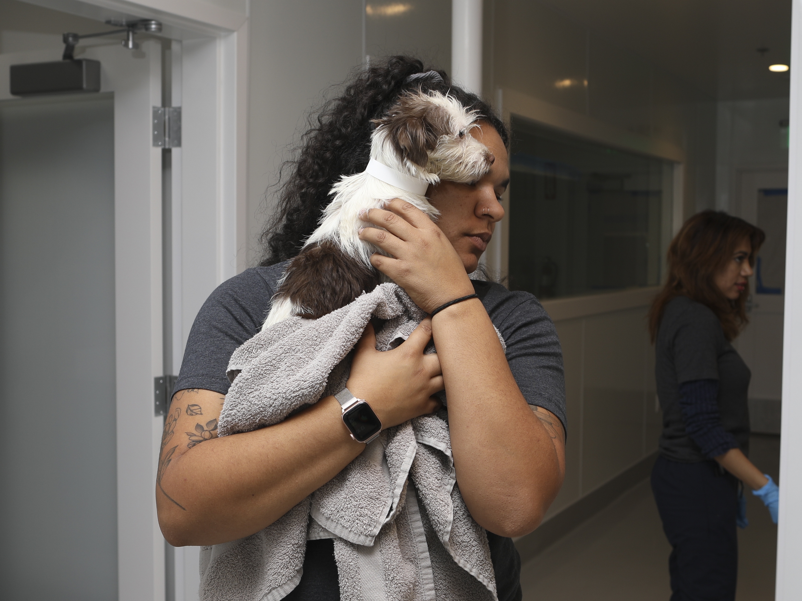 caption: On Jan. 12, Best Friends Animal Society received cats and dogs from Pasadena Humane. Employees and volunteers spent the day intaking animals and donated supplies in an effort.  Here, Best Friends' Nina Lewis holds a dog before its medical examination.