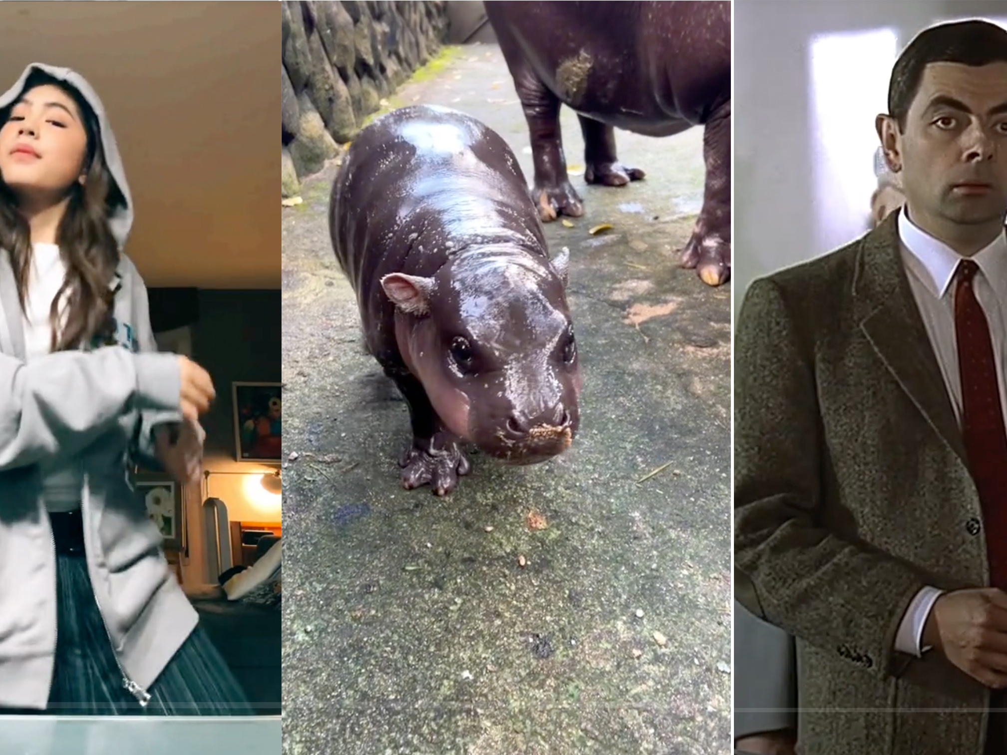 caption: Scenes from some of the most popular TikToks from the Global South in 2024: a dancing teen from the Philippines; that adorable baby pygmy hippo in Thailand; Mr. Bean makes a guest appearance in a TikTok by Khaby Lame.
