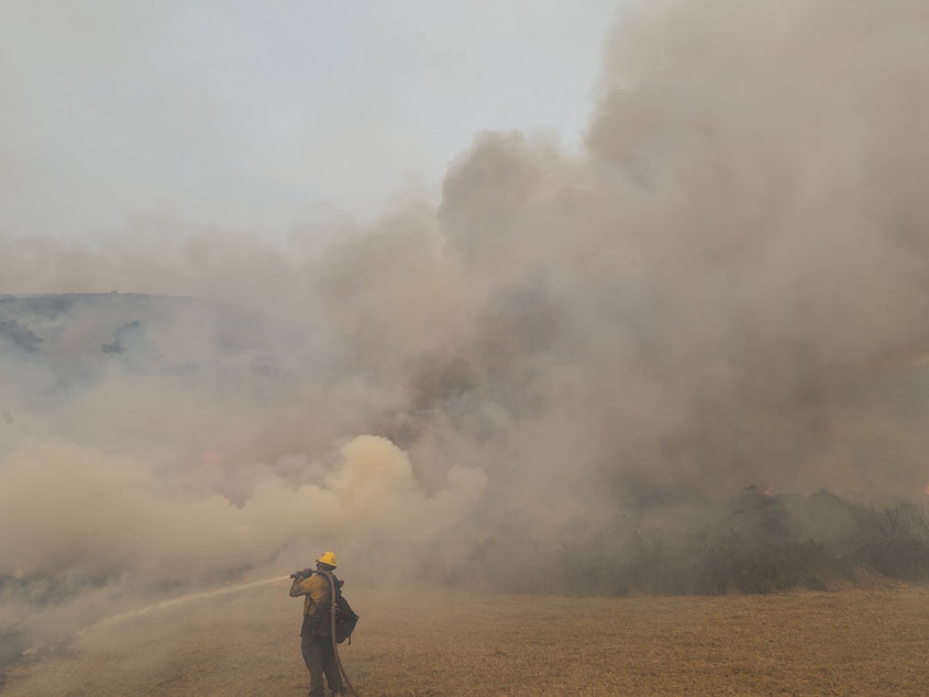 caption: A firefighter sprays water on a controlled burn while fighting the Dolan Fire near Big Sur, Calif., on Sunday. Millions of acres have burned in California and neighboring states this year.