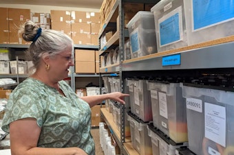 caption: Shasta County Clerk Cathy Darling Allen looks at bins containing election supplies for all the precincts.
