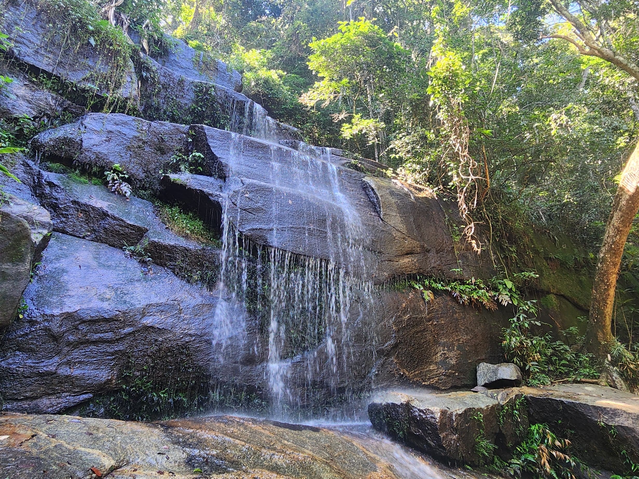 caption: Tijuca National Forest spreads over roughly fifteen square miles in Rio de Janeiro. It's the world's largest urban rain forest.  Hiking trails, waterfalls and dense forests offer a respite from the city's bustle and sprawl.
