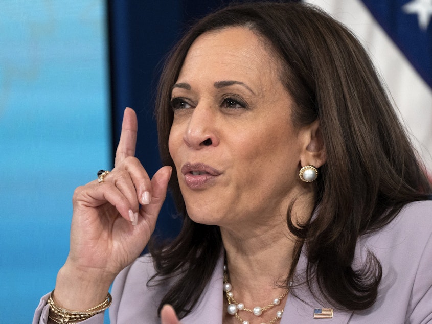 caption: Vice President Harris speaks about voting rights at the White House complex on June 23. President Biden tapped her to lead the administration's efforts on the issue.