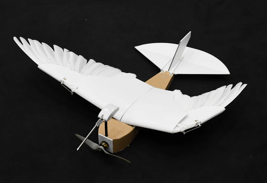 KUOW - 'PigeonBot' Brings Robots Closer To Bird-Like Flight